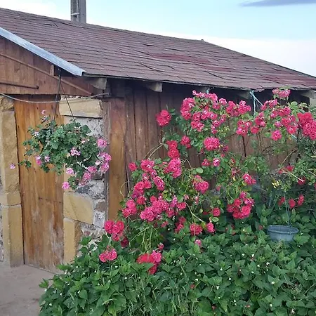 La Ferme Du Bouton D'or